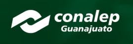 Un logotipo del canal
